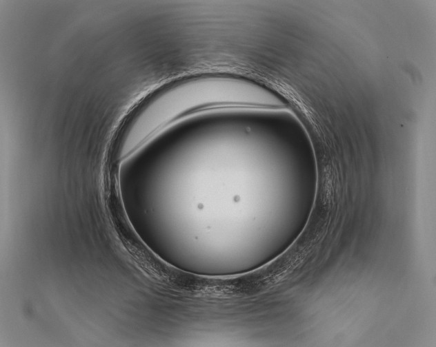 X0000112180680200908071327