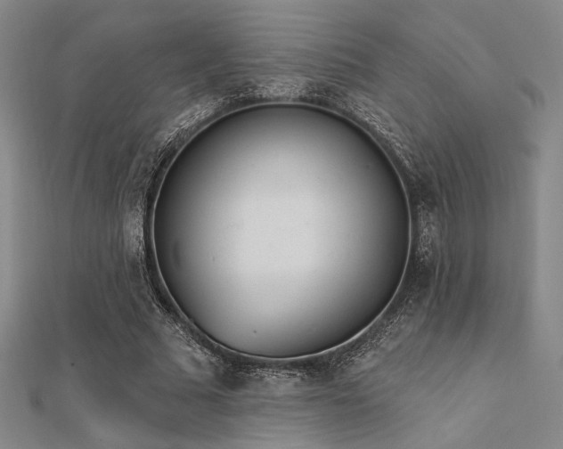 X0000112180681200908071327