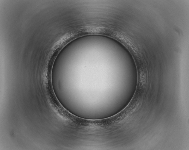 X0000112180682200908071327