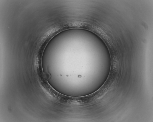 X0000112180683200908071327