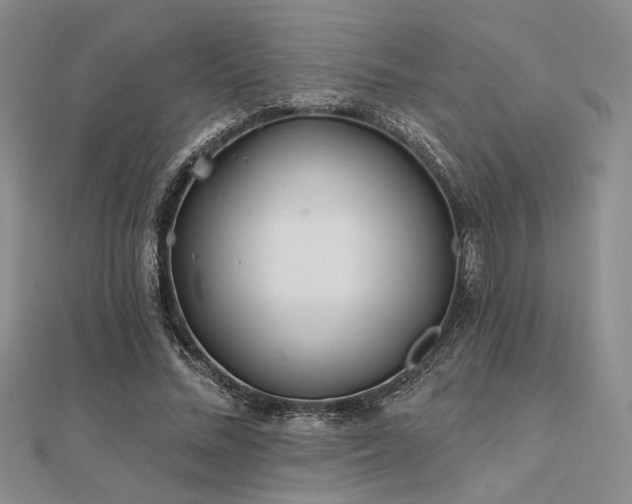 X0000112180684200908071326