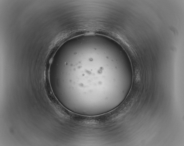 X0000112180685200908071326