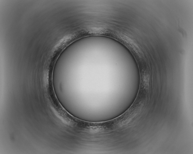 X0000112180686200908071326