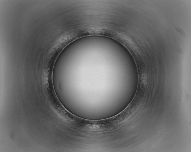 X0000112180687200908071326