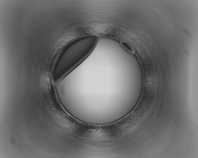 X0000112180688200908071326