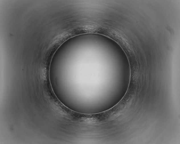 X0000112180689200908071326