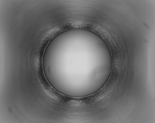 X0000112180690200908071326