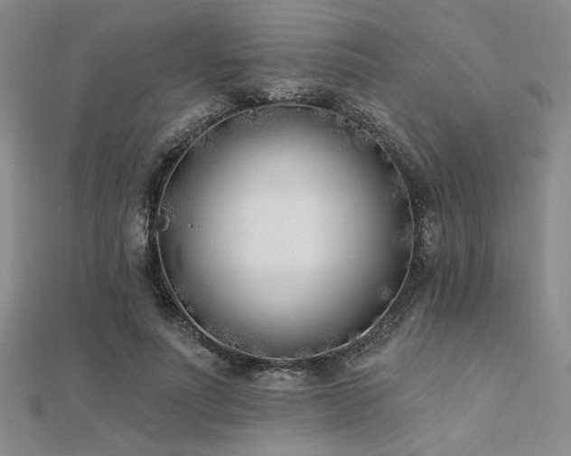 X0000112180691200908071326