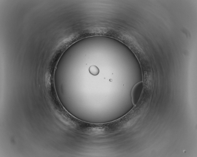 X0000112180692200908071326