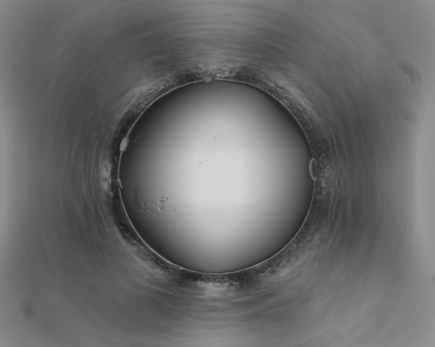 X0000112180693200908071326