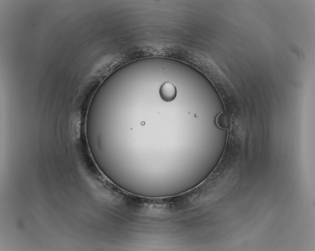 X0000112180694200908071326