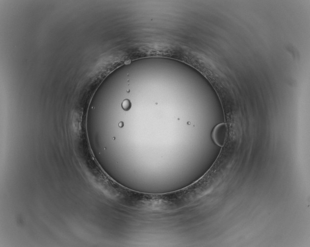 X0000112180695200908071326