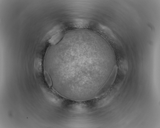 X0000112180696200908071326