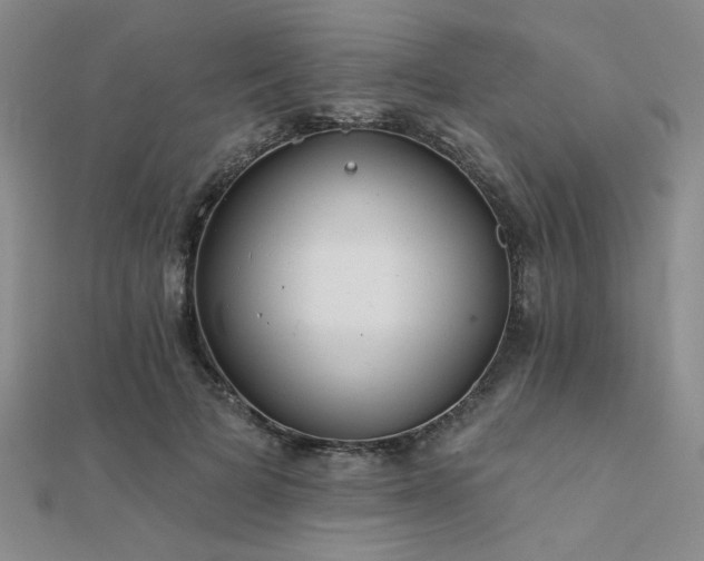 X0000112180697200908071326