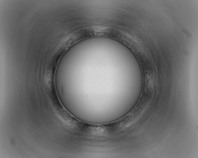 X0000112180698200908071326