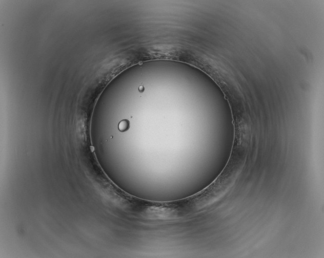 X0000112180699200908071326