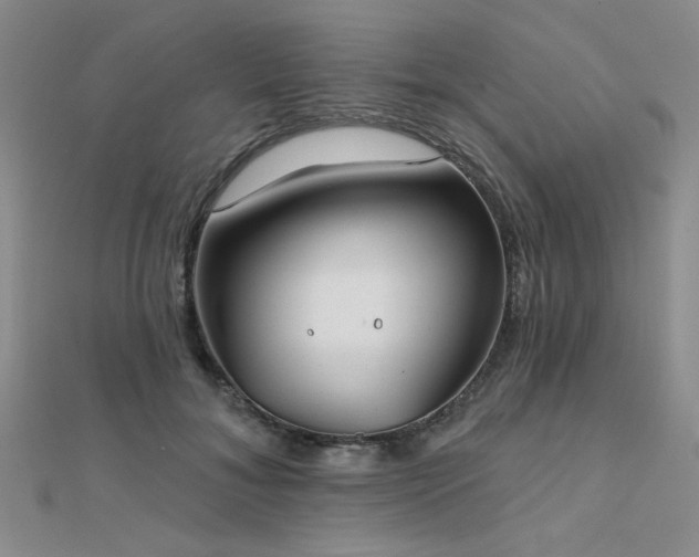 X0000112180700200908071326