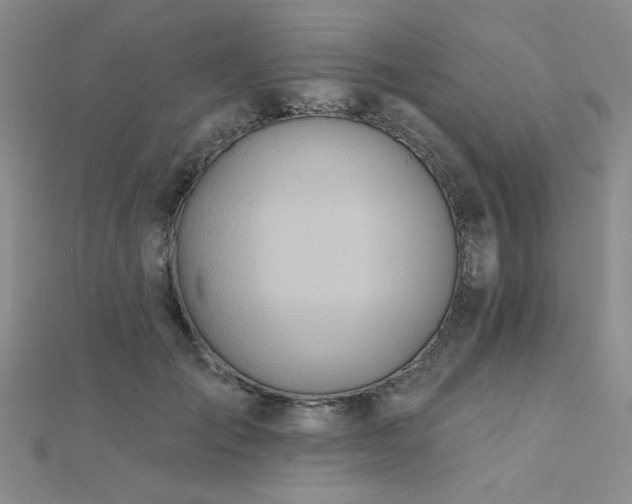 X0000112180701200908071326