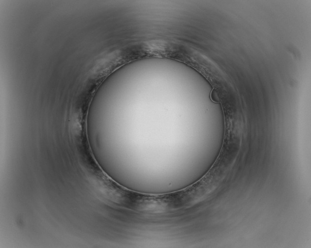 X0000112180702200908071326