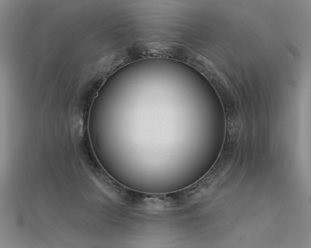 X0000112180703200908071326