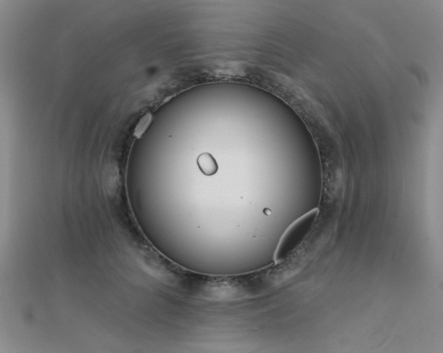 X0000112180704200908071326