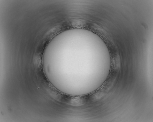 X0000112180705200908071326