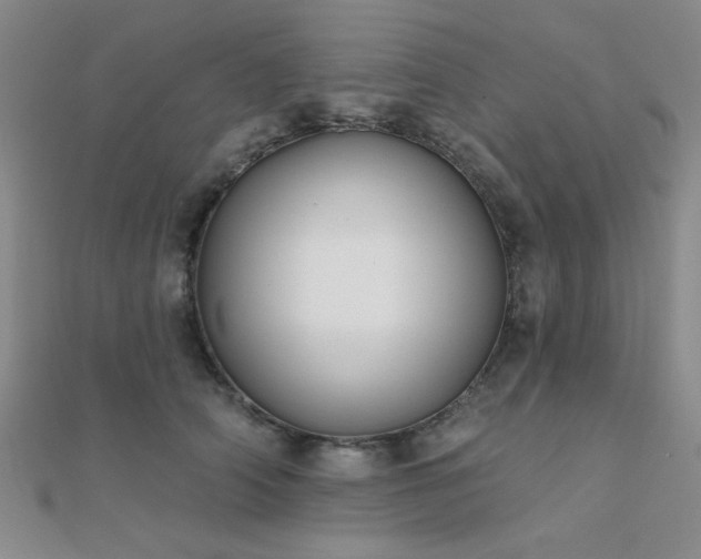 X0000112180706200908071326