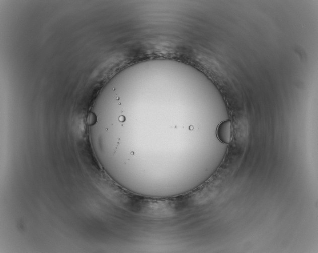 X0000112180709200908071326