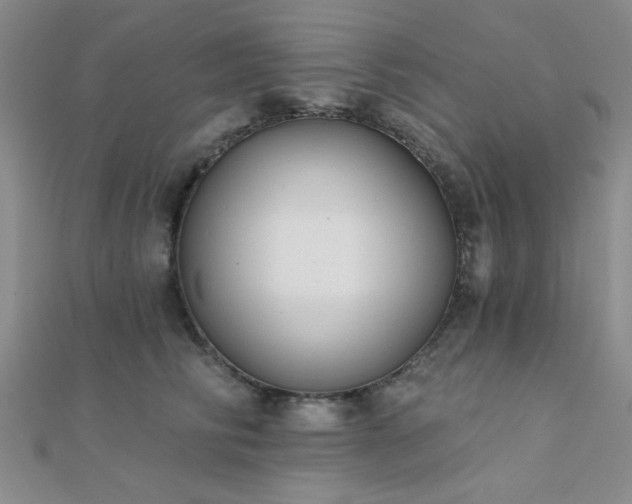 X0000112180710200908071326