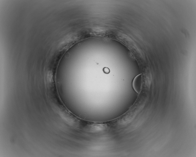 X0000112180711200908071326