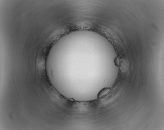 X0000112180713200908071326