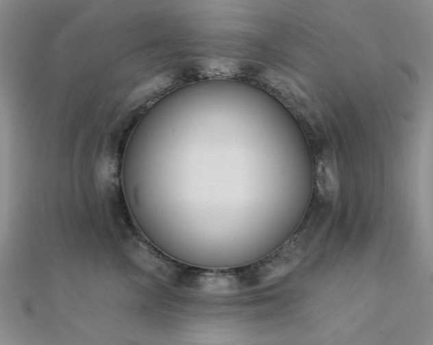 X0000112180714200908071326