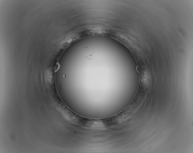 X0000112180715200908071326