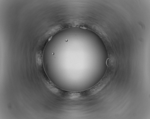 X0000112180719200908071326