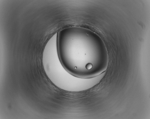 X0000112180720200908071326