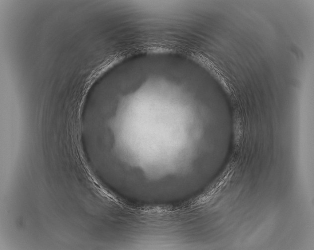 X0000112180721200908071325