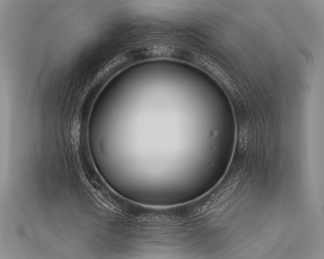 X0000112180722200908071325