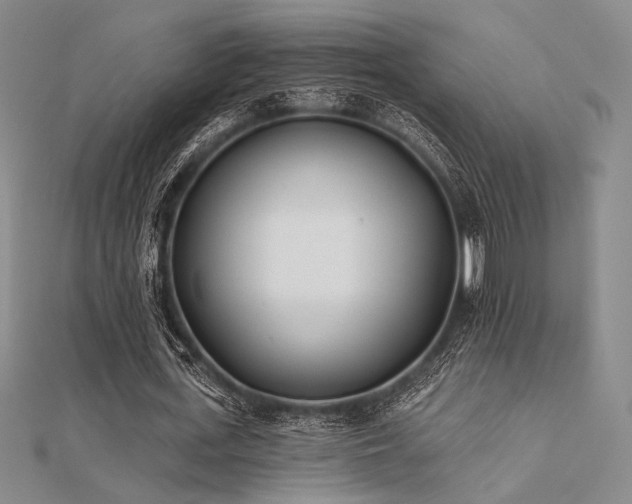 X0000112180723200908071325