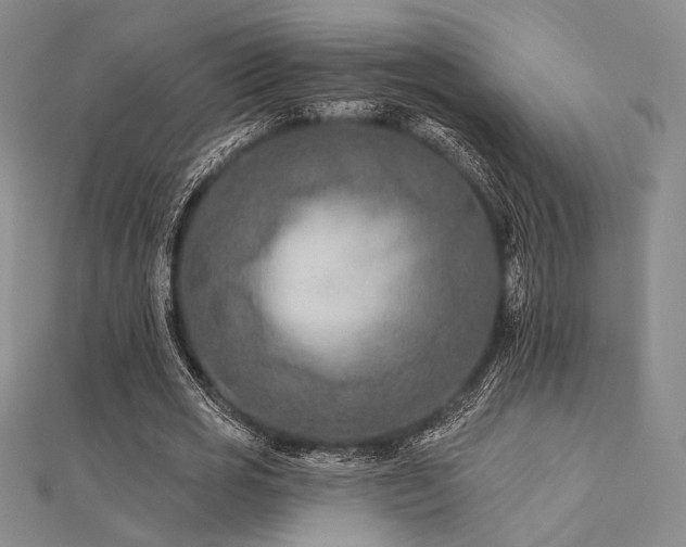 X0000112180725200908071325