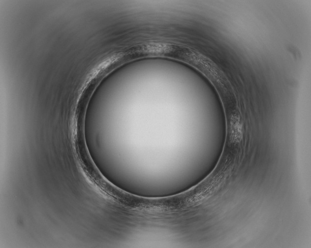 X0000112180726200908071325