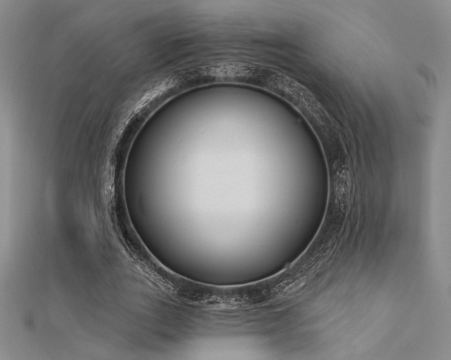 X0000112180727200908071325