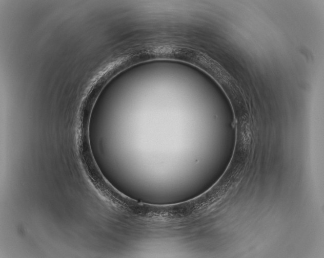 X0000112180728200908071326