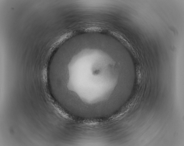 X0000112180729200908071326