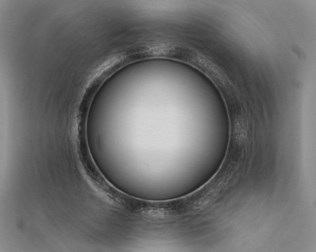 X0000112180730200908071326