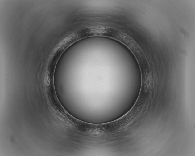 X0000112180731200908071326