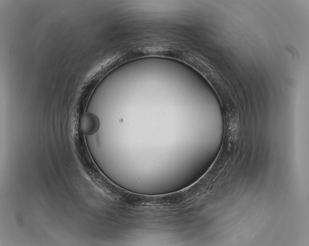 X0000112180732200908071326