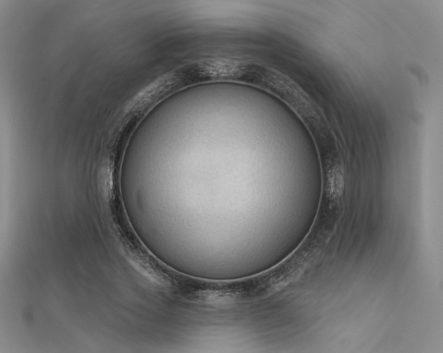 X0000112180733200908071326