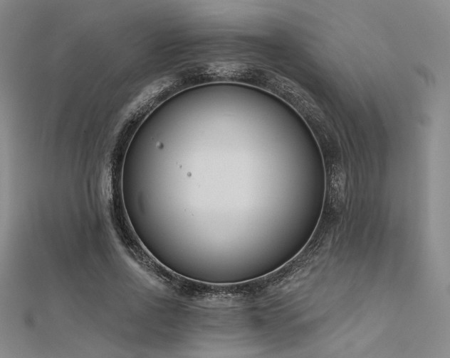 X0000112180734200908071326