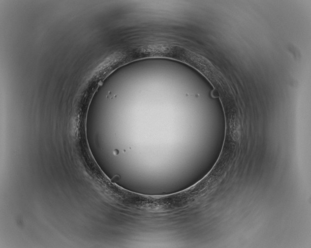 X0000112180735200908071326