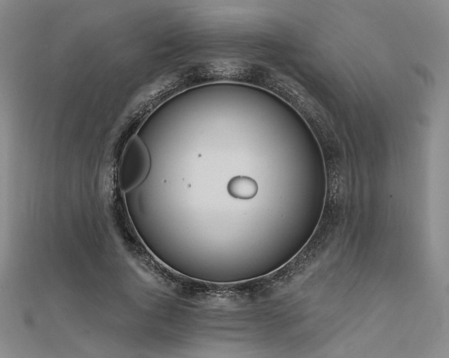 X0000112180736200908071326